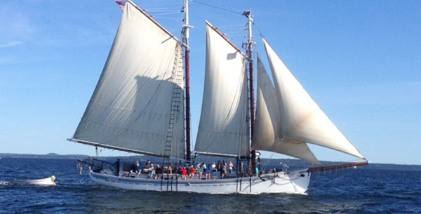 Casco Bay Sunset Sail