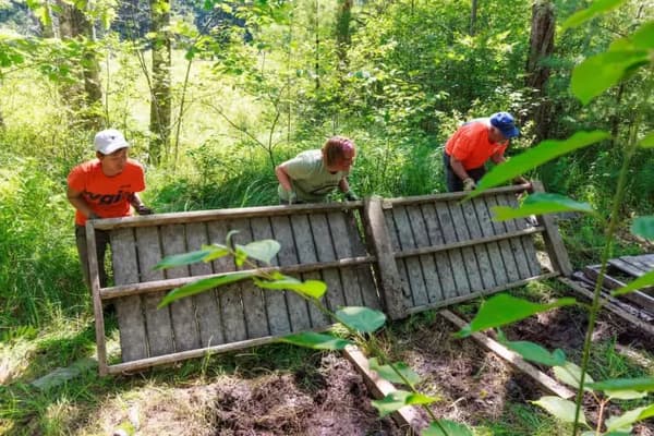 Tall Tree Trail Restoration at McIntire Highlands Preserve, Part 2