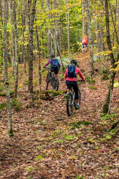 Trail Work - Raymond Community Forest