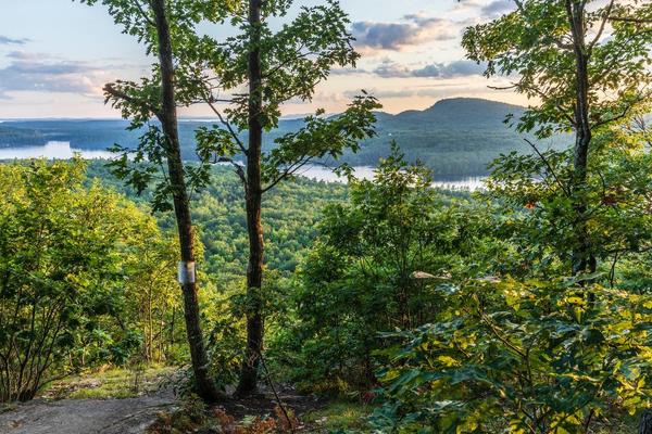 Raymond Community Forest Hike