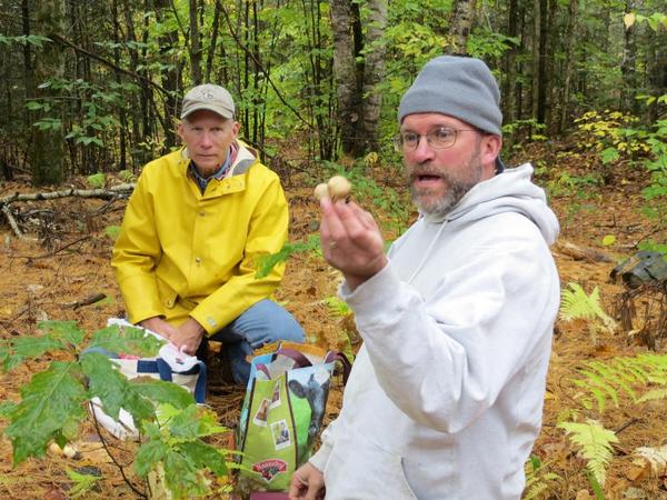 Identifying Mushrooms Workshop