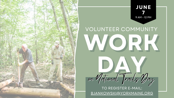 Volunteer Community Work Day at Mount Agamenticus
