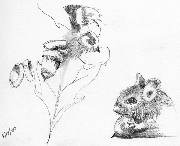 Nature Sketching for Everyone