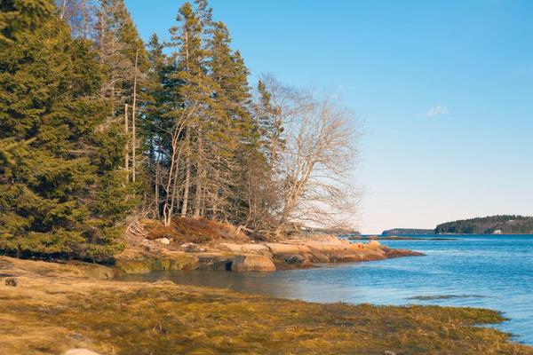Island Heritage Trust - Trail Tuesday @ Shore Acres