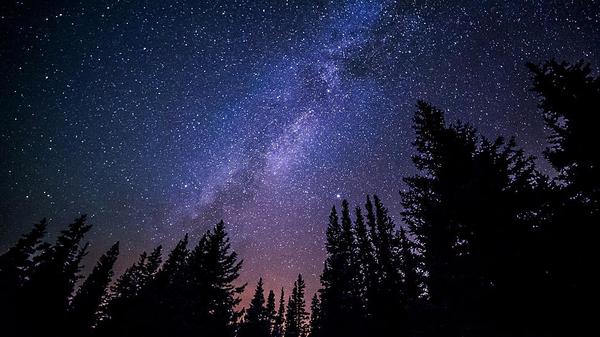 Night Sky Tour with Northern Stars Planetarium