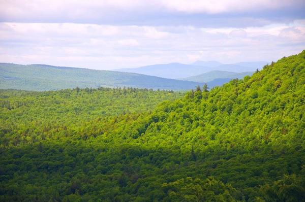 Noyes Mountain Summit Chase