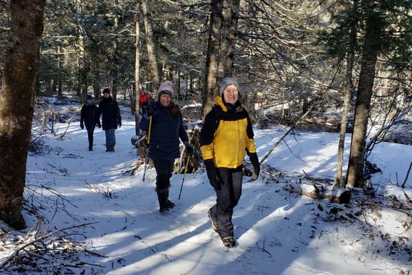 Winter Plant ID at Boot Head Preserve