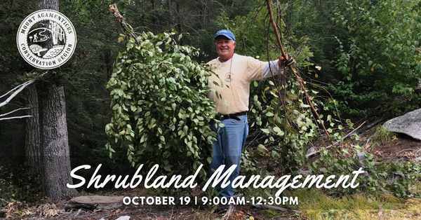 Shrubland Management at Mount Agamenticus