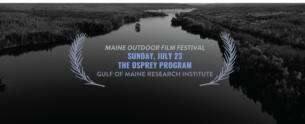 Maine Outdoor Film Festival: The Osprey Program | Shorts Block