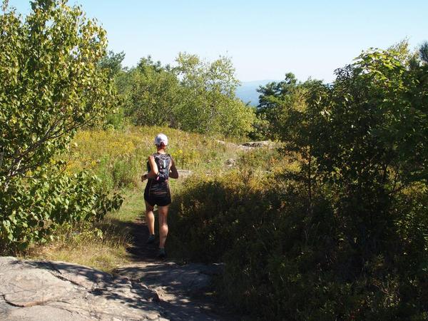 Loon Echo Trek