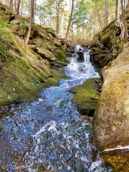 Community Forest Guided Hiking Tour