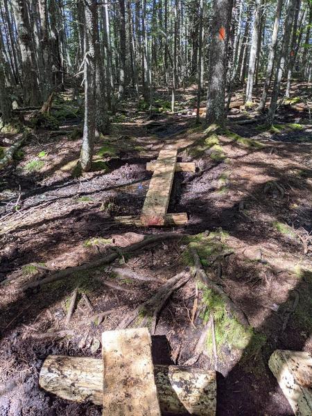 Island Heritage Trust - Trail Tuesday @ Shore Acres