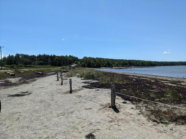 Island Heritage Trust - Trail Tuesday Beach Clean-Up @ Causeway Beach