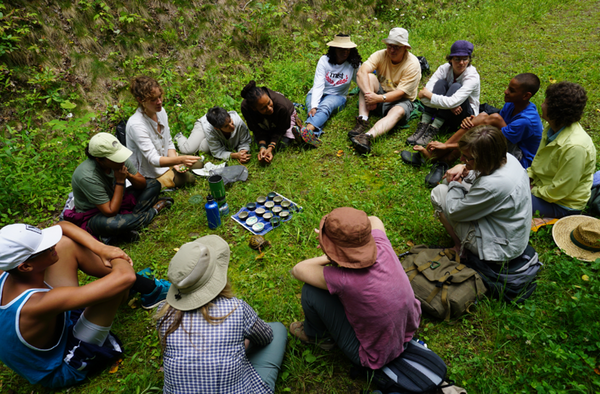 Welcoming Change! Forest Bathing/Forest Therapy Guided Walk!