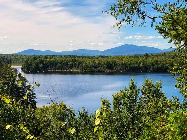 Prong Pond Trail Stewardship Trip