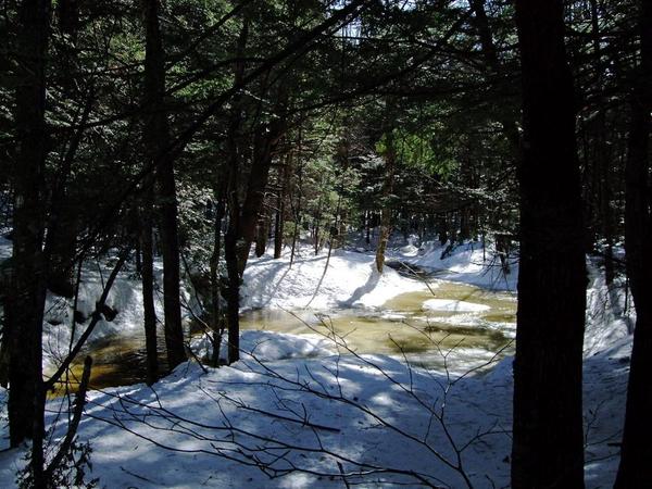 Explore ALT Nature Walk: Purinton Homestead Conservation Area
