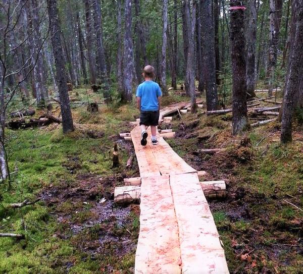 Walk in the Woods: Hunter Cove Wildlife Sanctuary