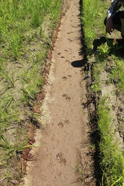 Nomad Trail Race Series: Smith Bridge