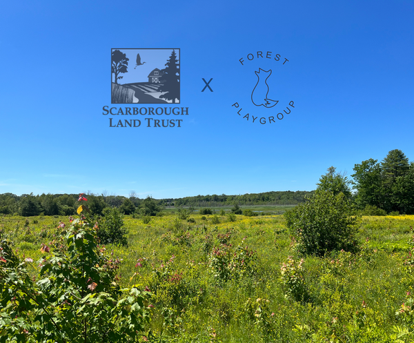 Scarborough Land Trust Hosts Forest Playgroup