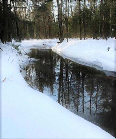 Conserve Our Community: Saco Middle School Seventh Graders Share Conservation Plan