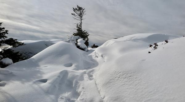 Winter Hiking Preparedness at Wolfe's Neck Woods State Park