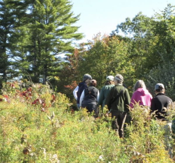 Monthly Women's Walk