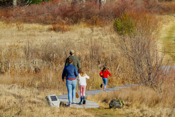 Family Mindfulness Experience
