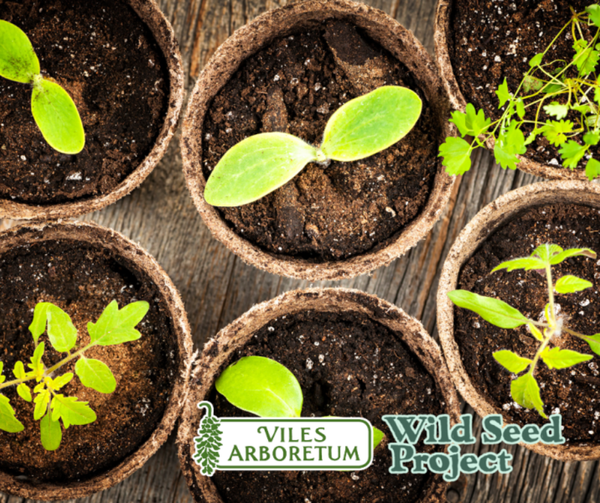 Seed Sowing Workshop