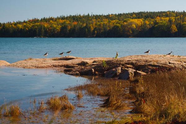 Island Heritage Trust - Trail Tuesday @ Shore Acres