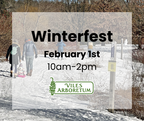 Winterfest at Viles Arboretum