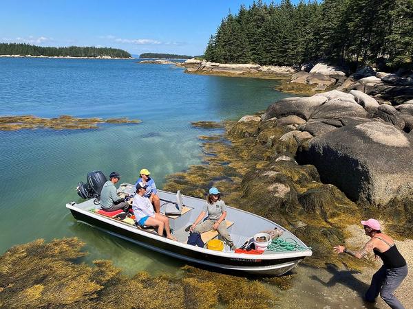 Wreck Island Trail Work Day