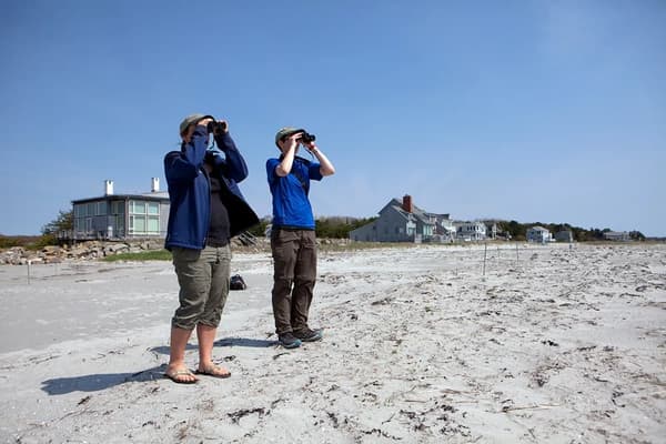 Shorebird Ambassador Training at Wells Beach