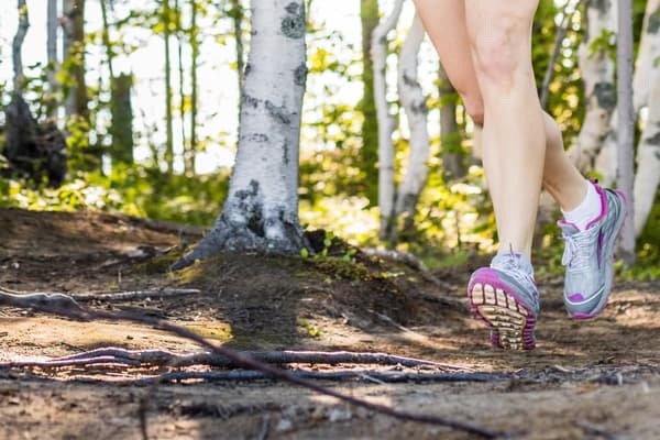 Maine Trail Running Retreat By The Lake