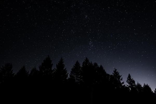 Embracing the Night
