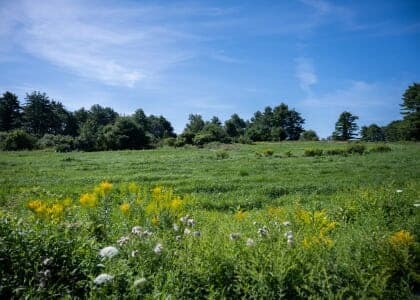 Spring Four Season Walk at Crystal Spring Farm