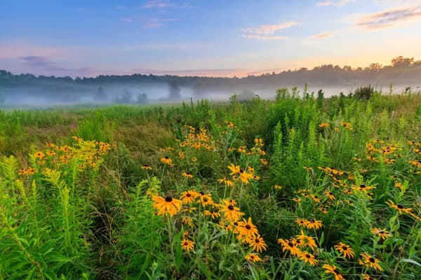 Get to Know Your Preserves Summer Series: Highland Farm Preserve