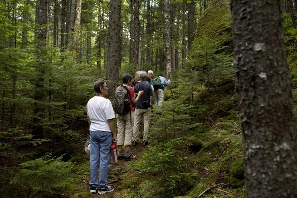 Healthy Hikes at Fields Pond