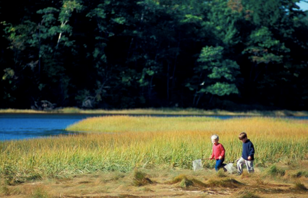 Get Out! Nature Walk: Spear Farm Estuary