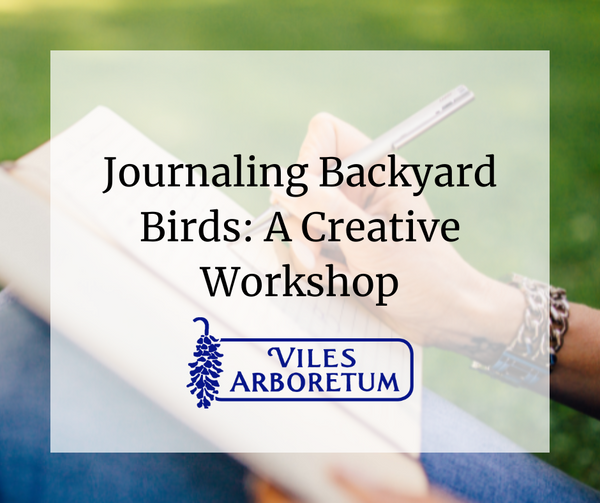 Journaling Backyard Birds: A Creative Workshop