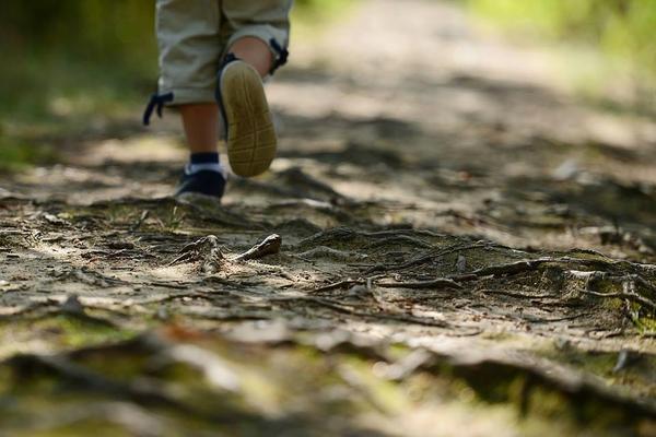 Kid Hike at Libby River Farm Preserve