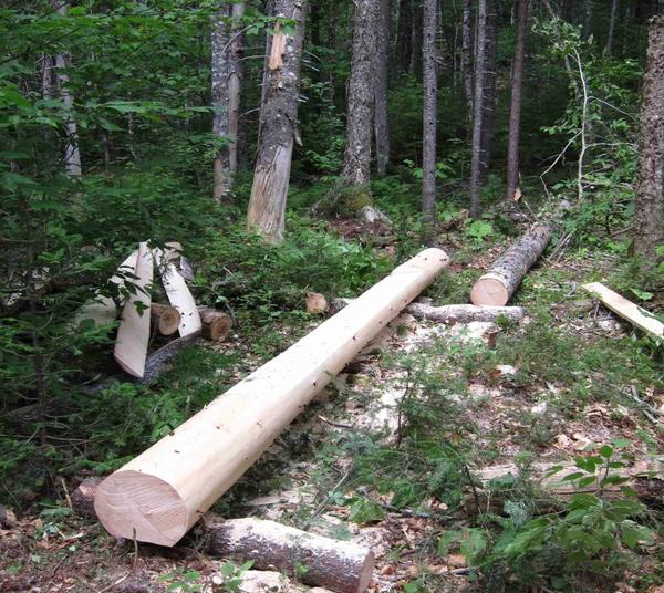 Logan Brook Lean-to Sill Replacement Prep