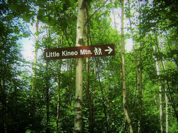 Little Kineo Stewardship Day