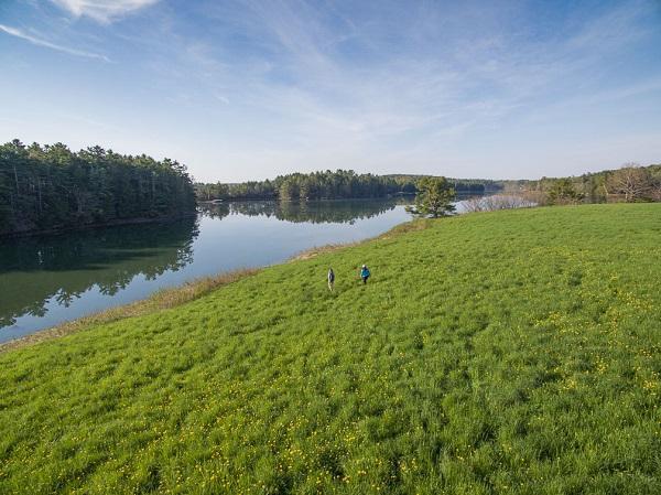 Guided Hike at Woodward Point Preserve