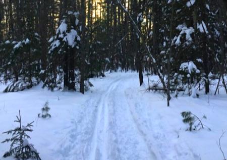 Brews for a Cause & Skiing with FOXCS