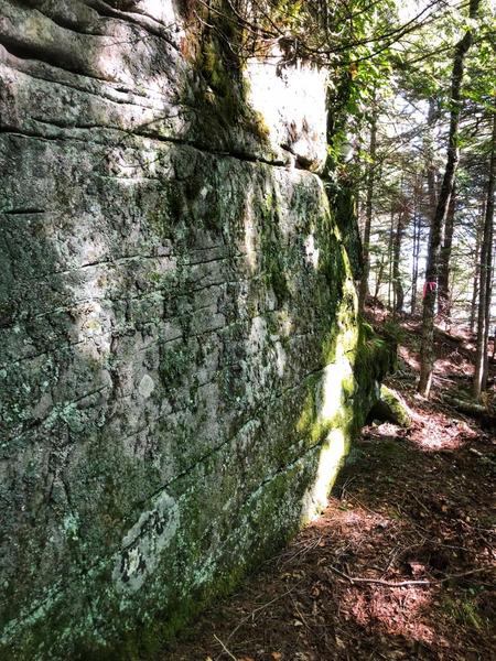 Prong Pond Trail Stewardship Trip