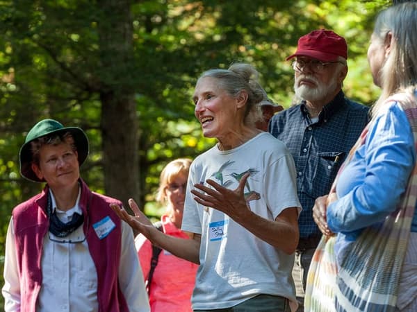 Borestone Naturalist Series: Old Growth Forests with Laura Minich Zitske