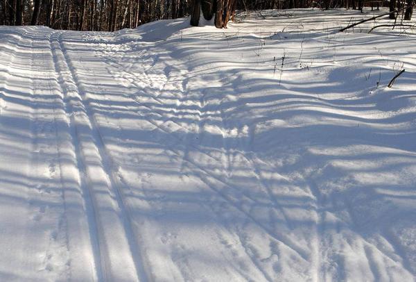 Family Fun Ski