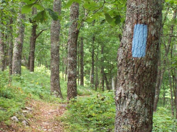 York Land Trust Trail Workday