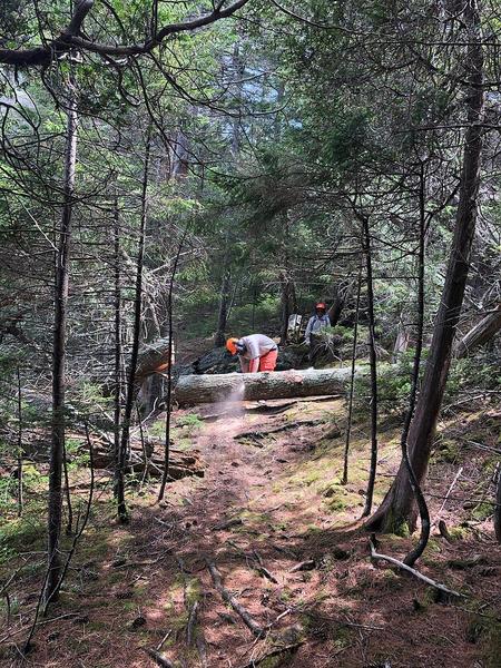 Berger Preserve Trail Clearing