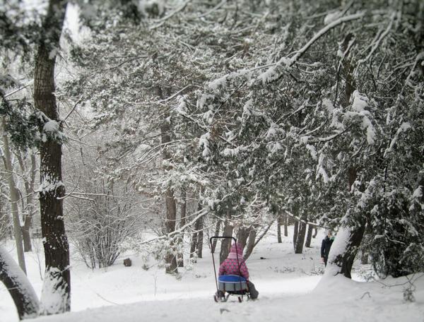 Winter Family Fun Day at Mount Blue State Park